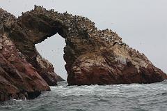 1165-Isole Ballestas,19 luglio 2013